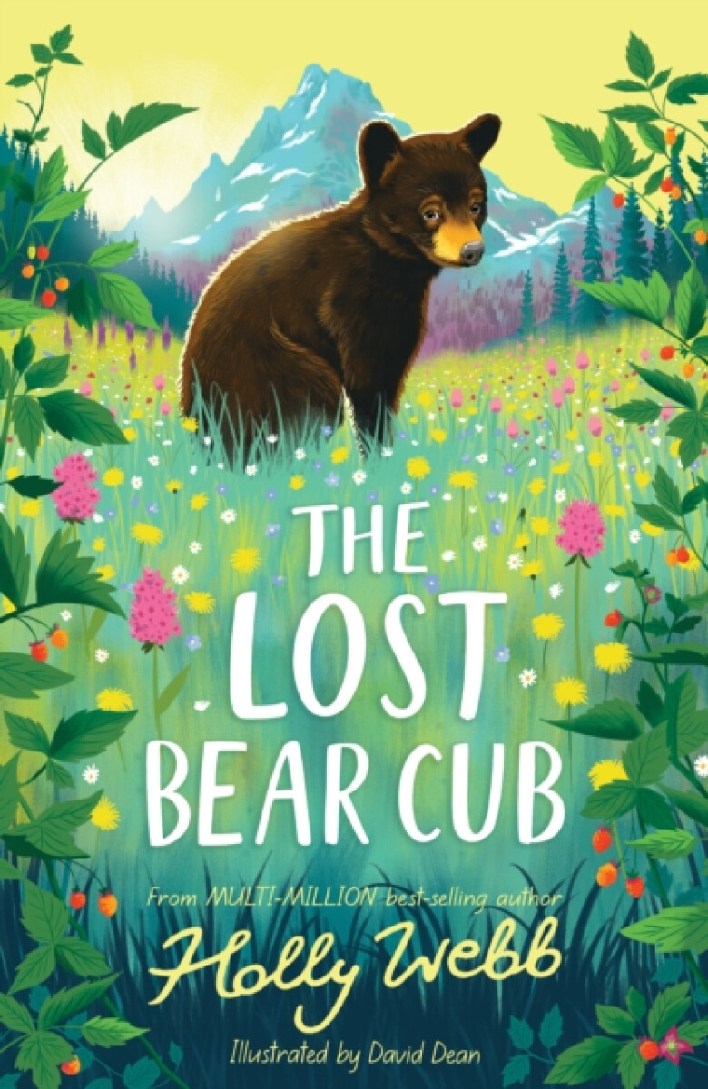 Kniha Lost Bear Cub
