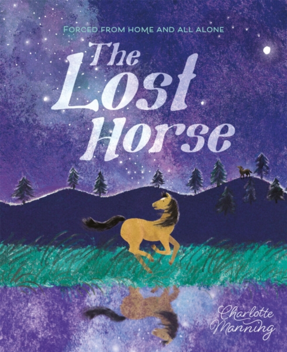 Kniha Lost Horse