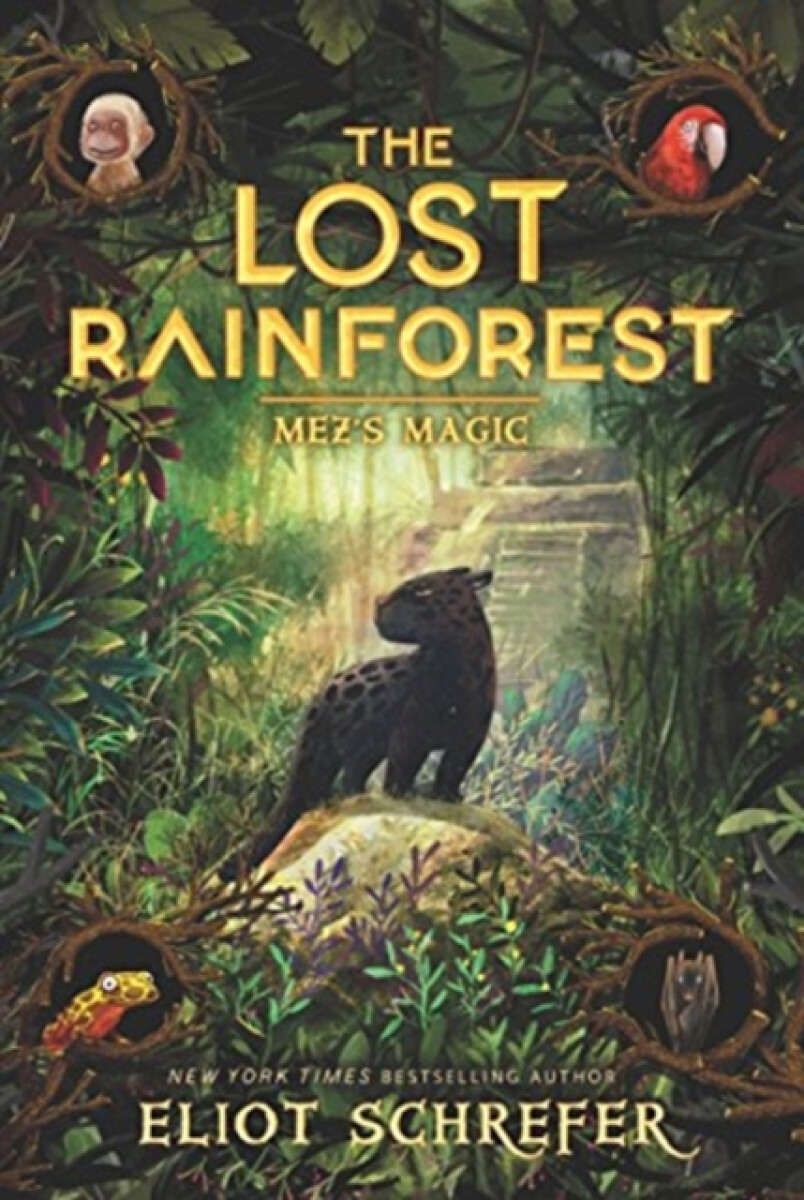 Kniha Lost Rainforest #1: Mez's Magic