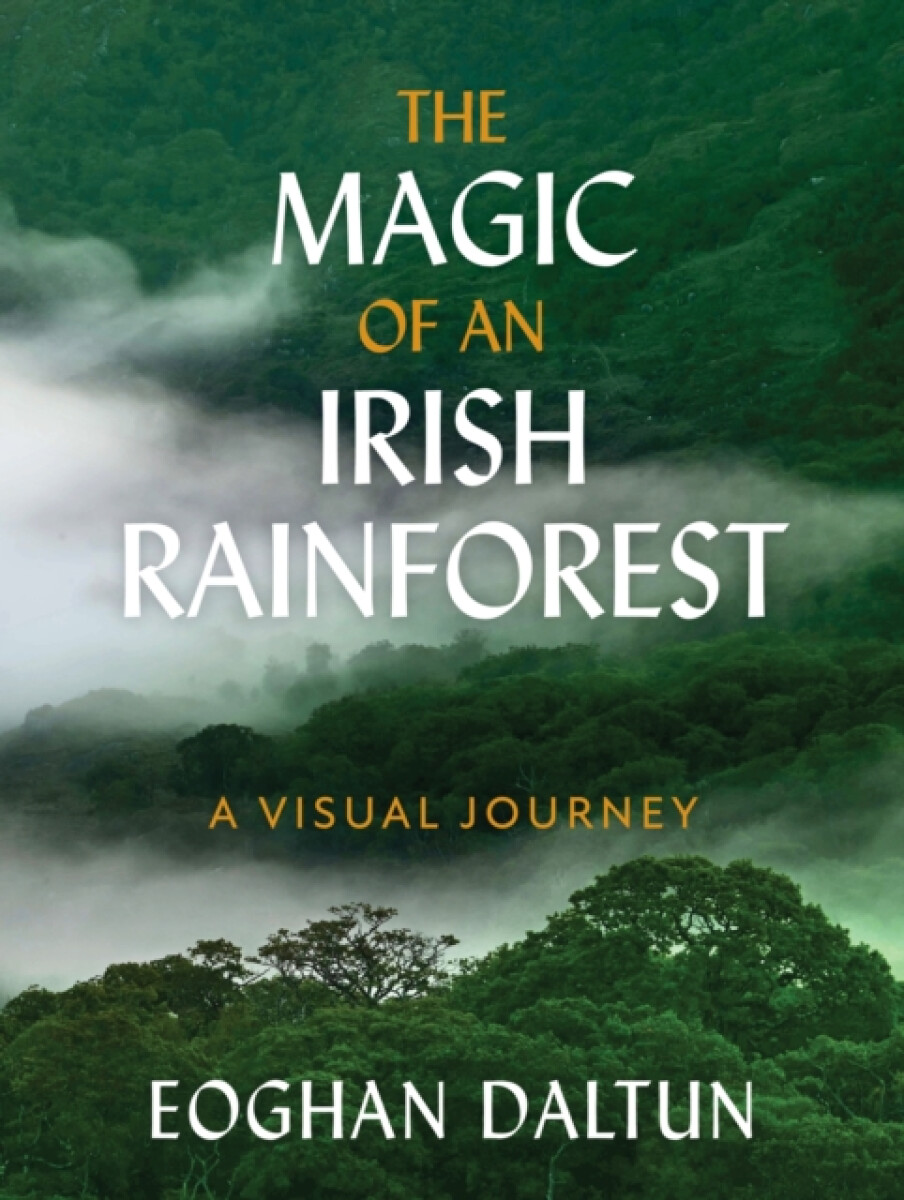 Kniha Magic of an Irish Rainforest