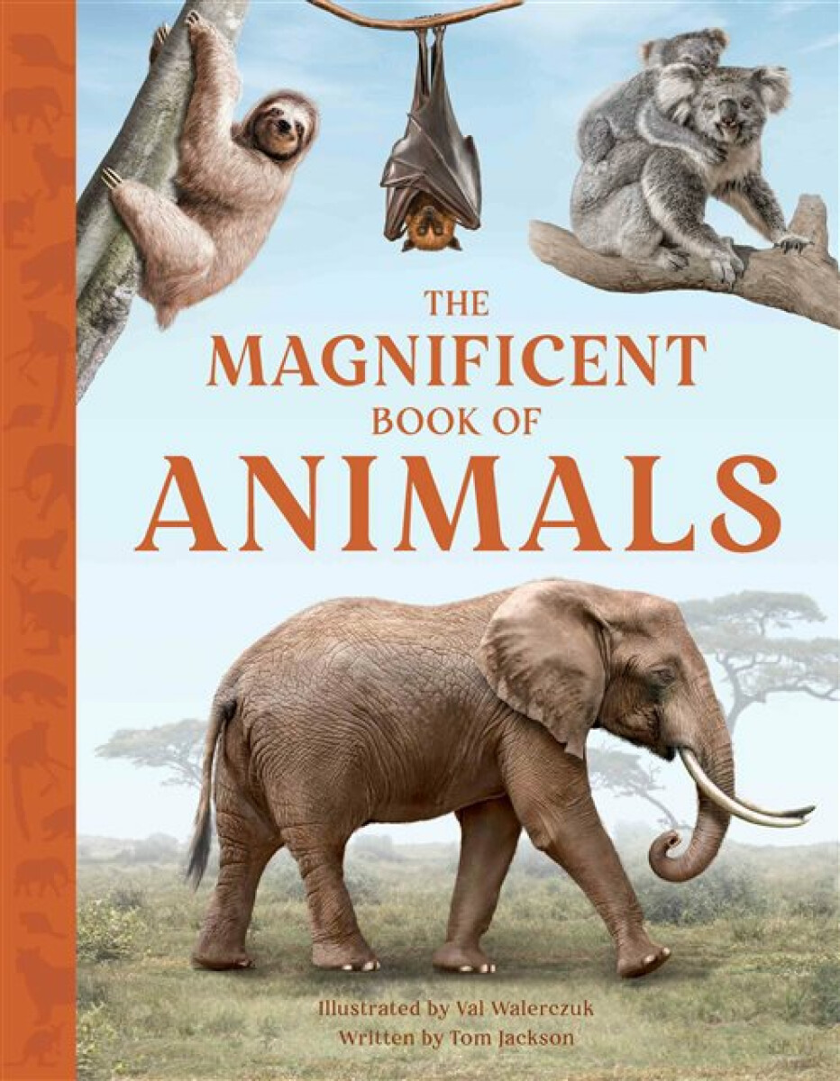 Kniha Magnificent Book of Animals