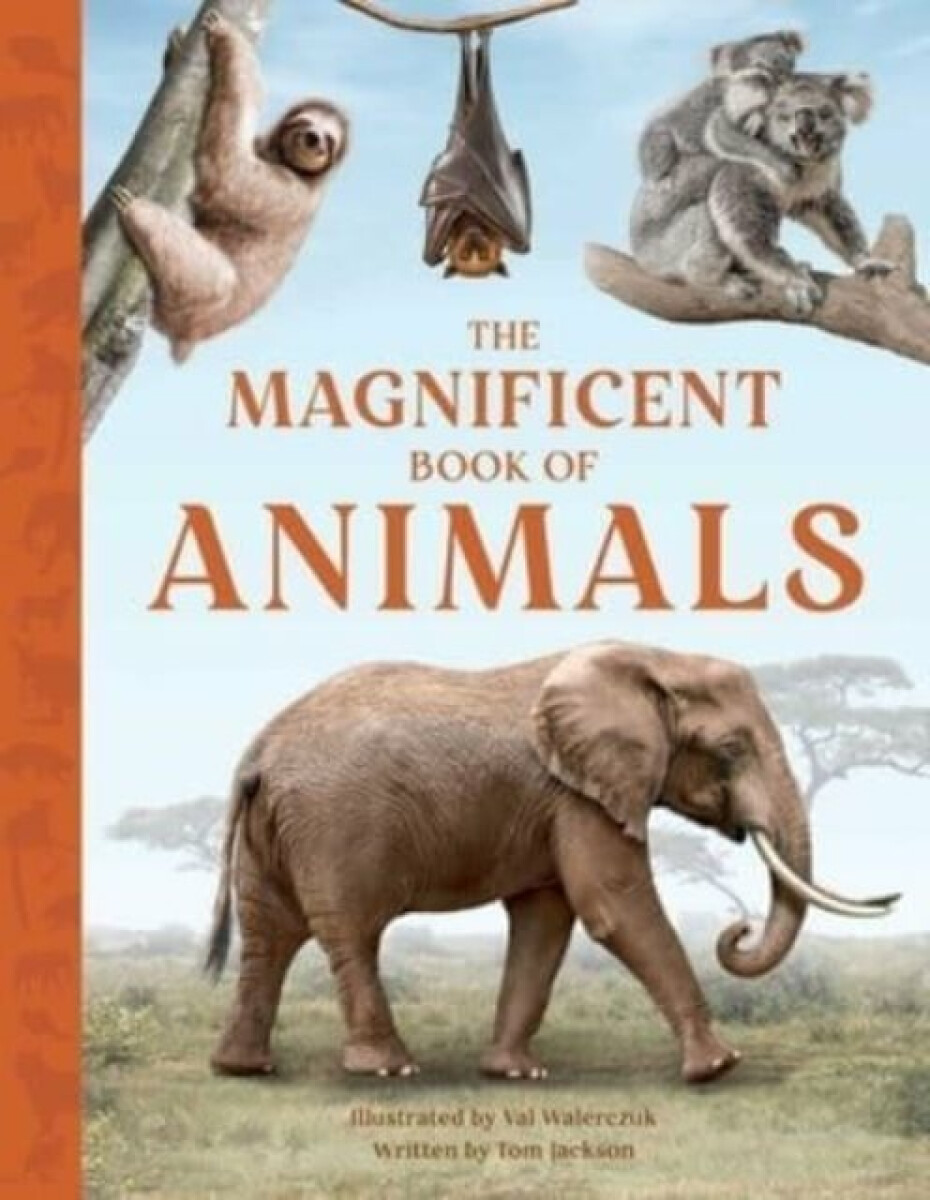 Kniha The Magnificent Book of Animals