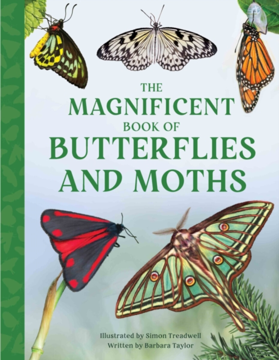 Kniha Magnificent Book of Butterflies and Moths