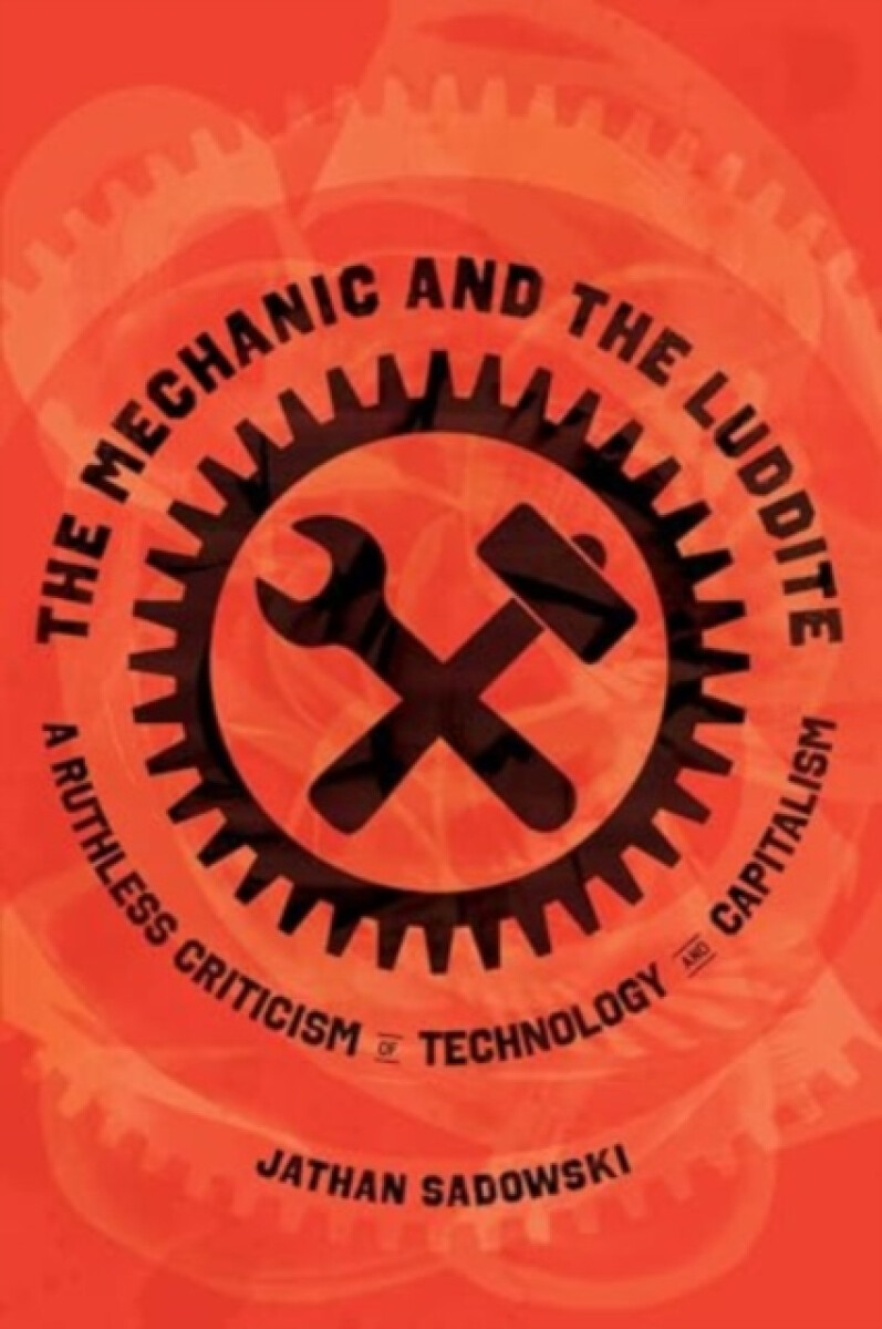 Kniha Mechanic and the Luddite