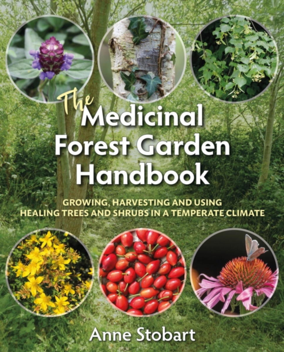 Kniha Medicinal Forest Garden Handbook