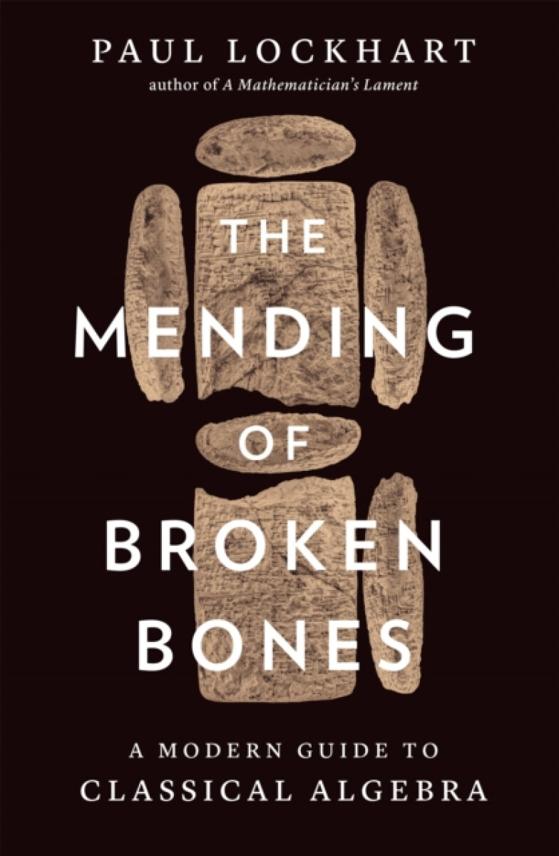 Kniha Mending of Broken Bones