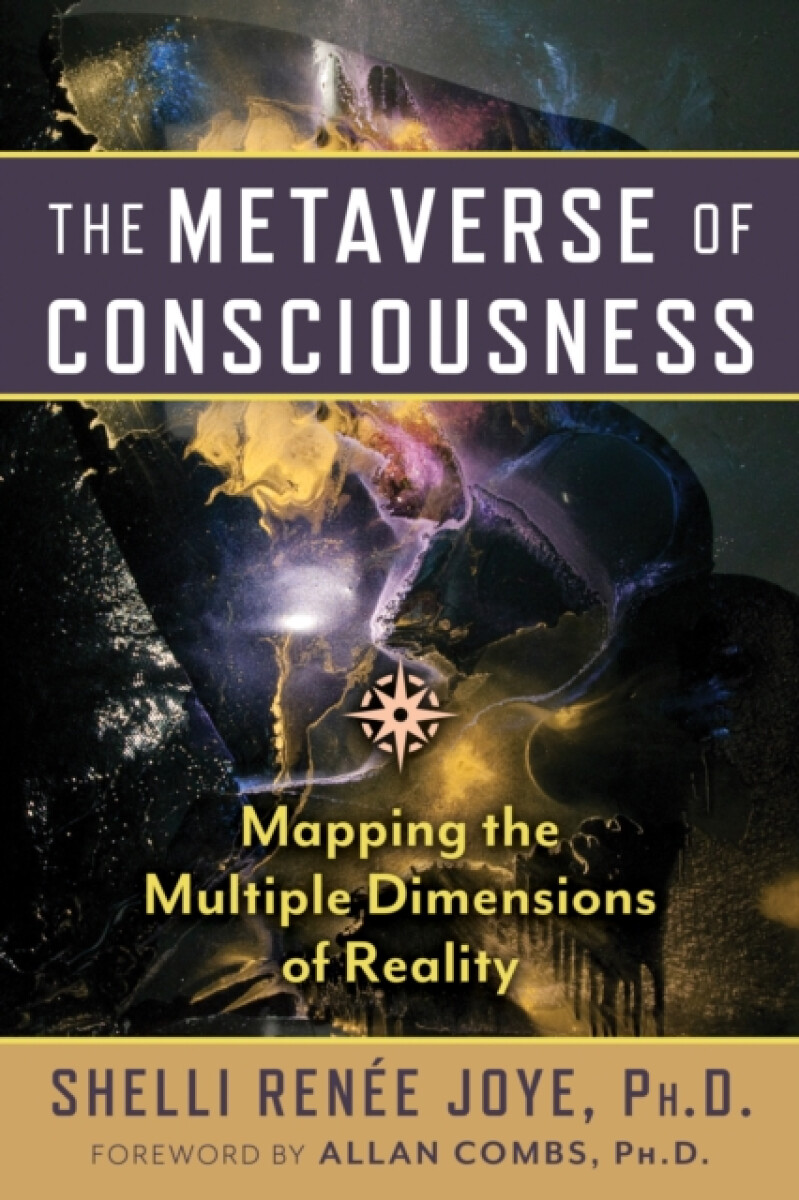 Kniha Metaverse of Consciousness