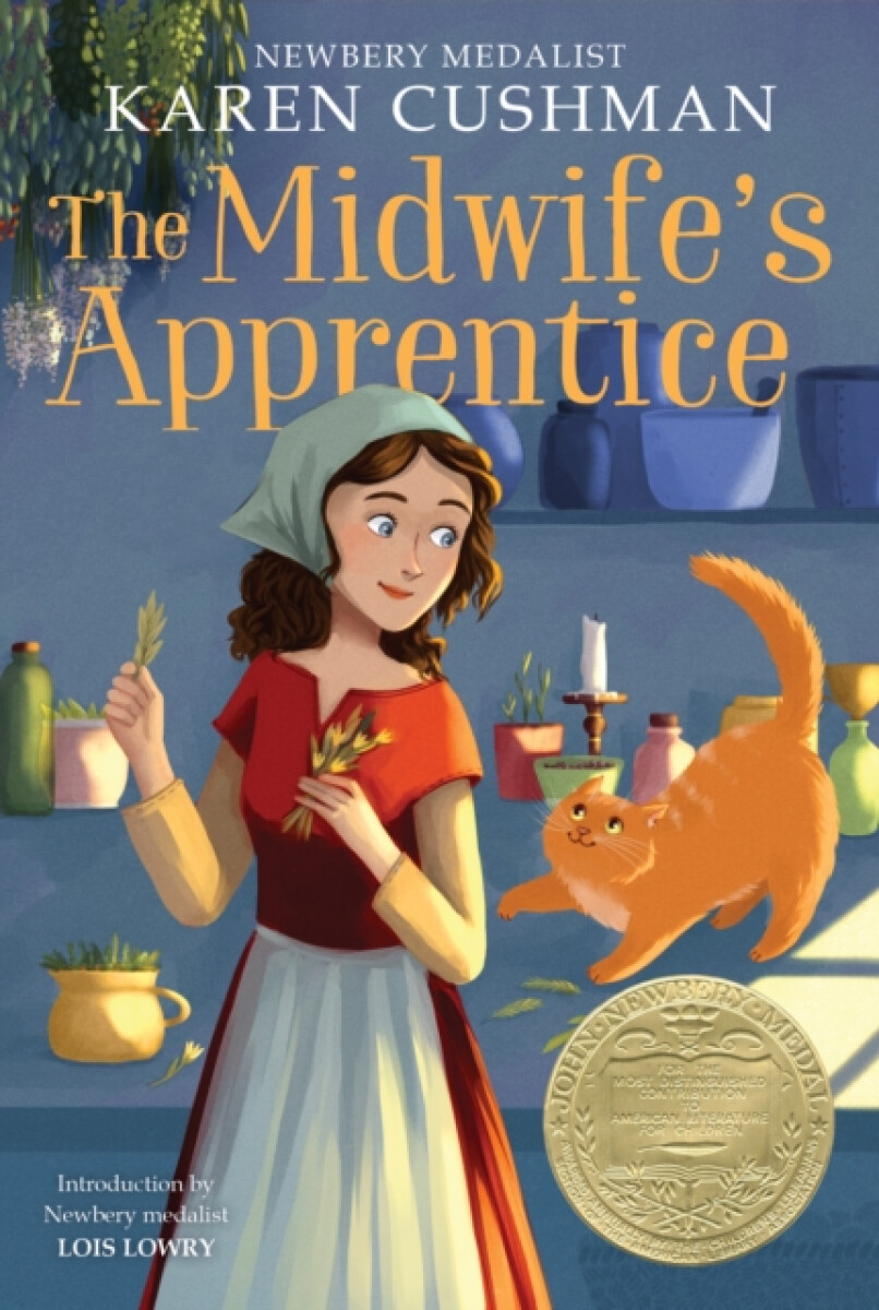 Kniha Midwife's Apprentice