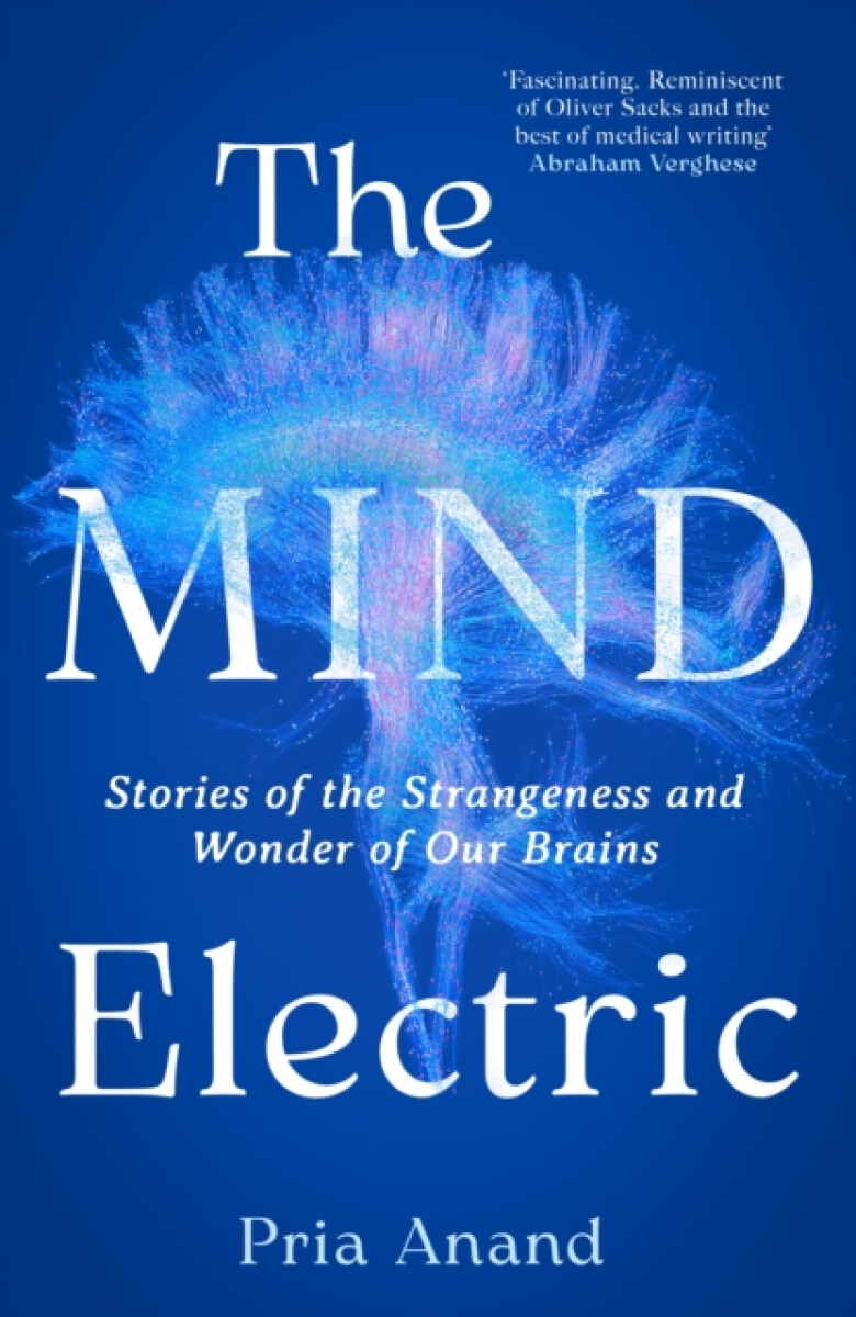 Kniha Mind Electric
