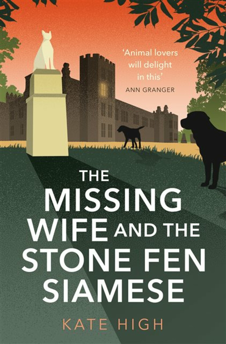 Kniha The Missing Wife and the Stone Fen Siamese