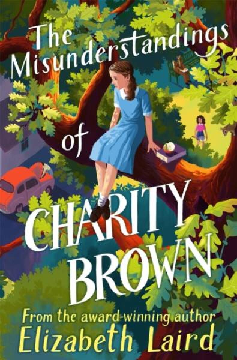 Kniha Misunderstandings of Charity Brown