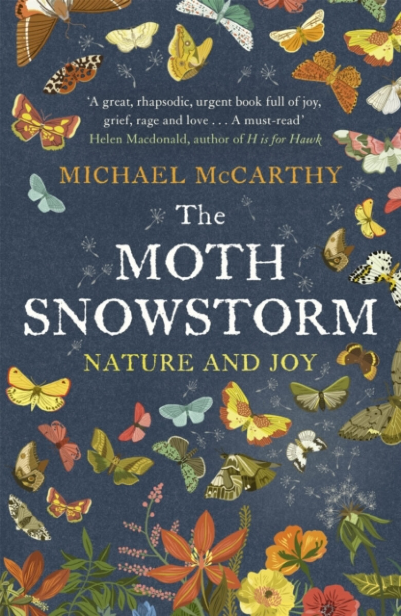 Kniha Moth Snowstorm