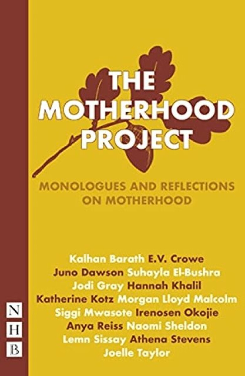 Kniha Motherhood Project