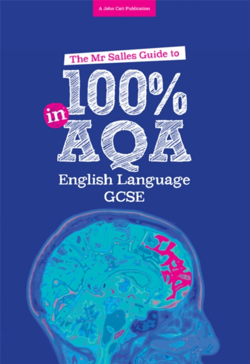 Kniha The Mr Salles Guide to 100% in AQA GCSE English Language Exam