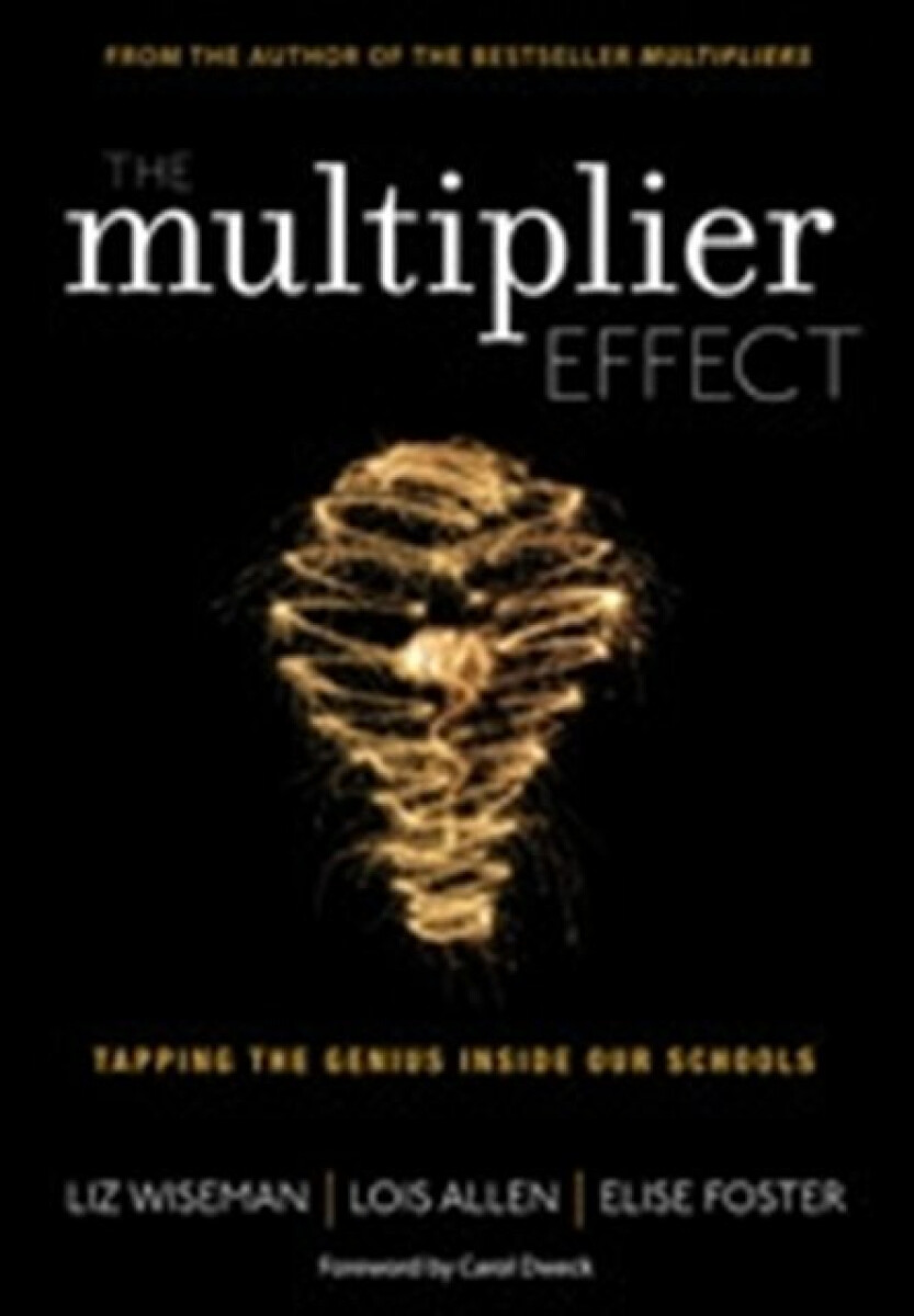 Kniha Multiplier Effect