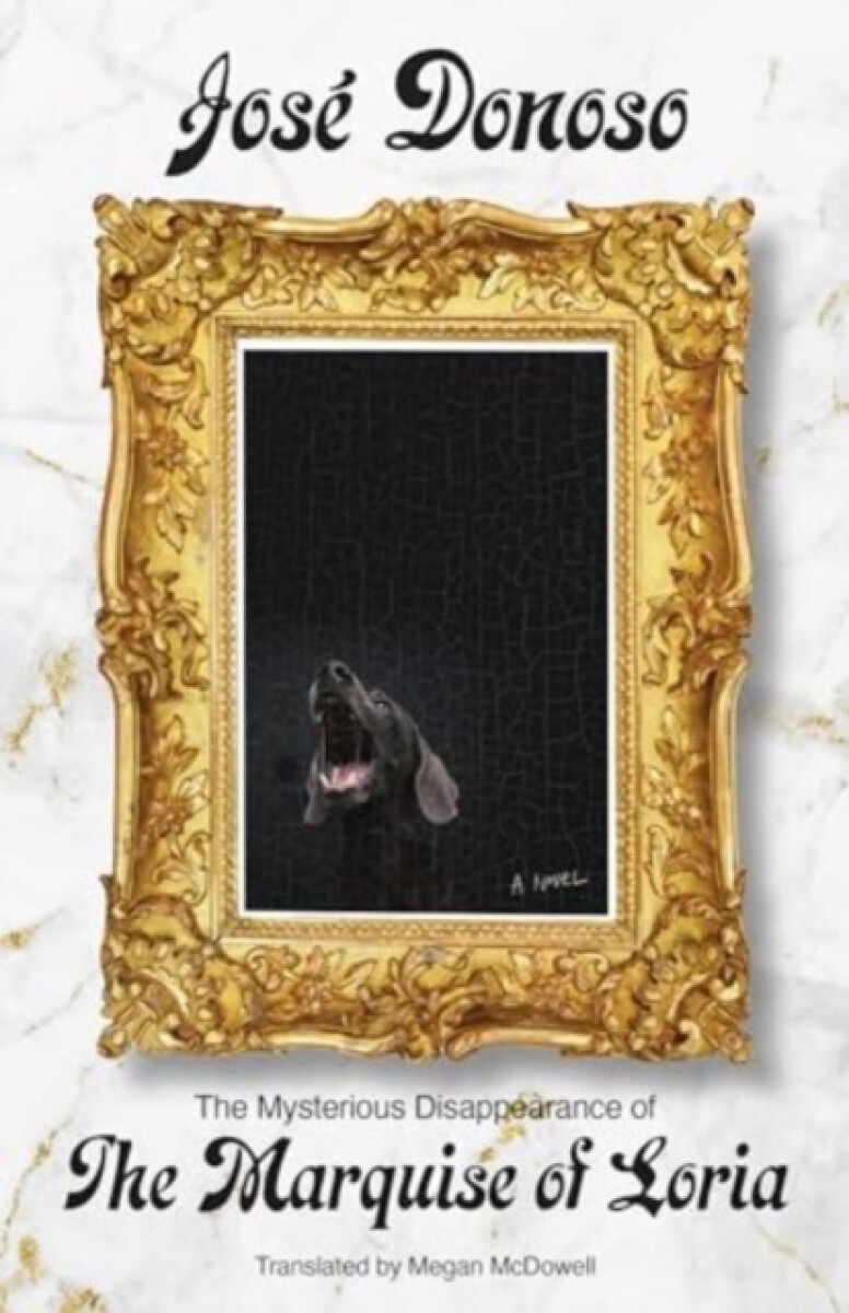 Kniha Mysterious Disappearance of the Marquise of Loria