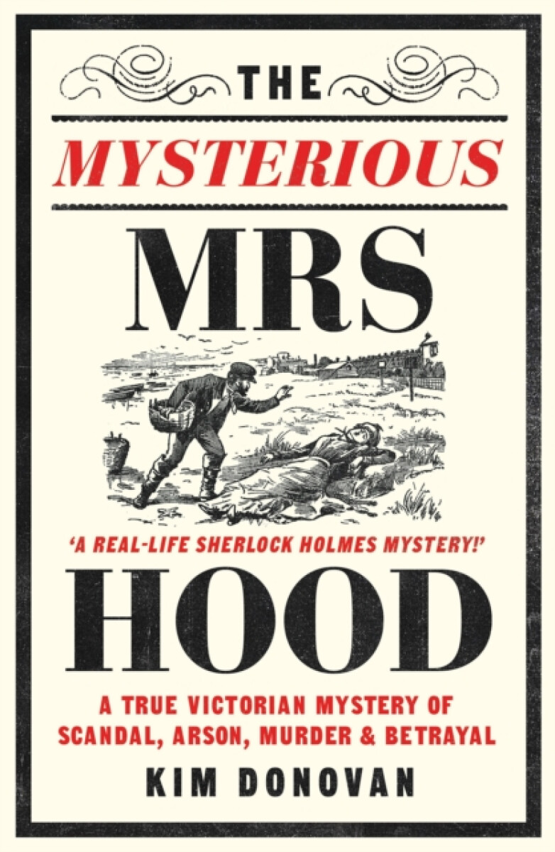 Kniha Mysterious Mrs Hood