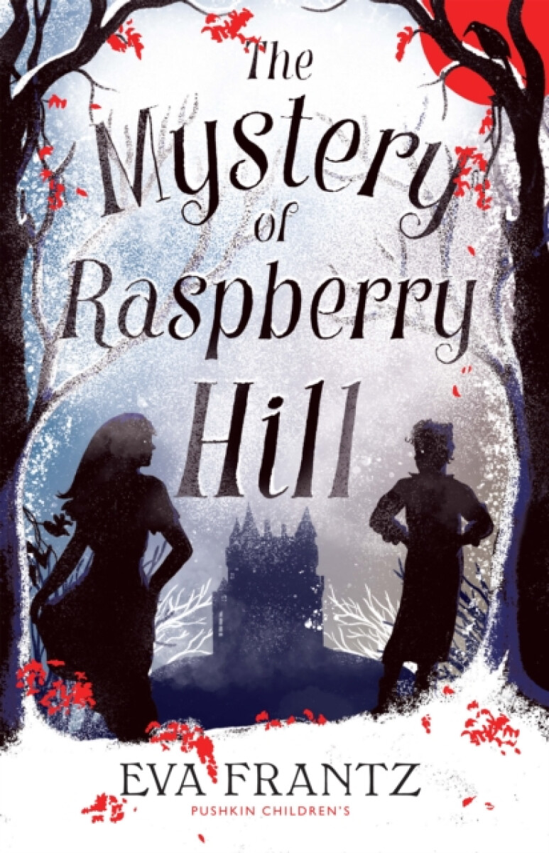 Kniha Mystery of Raspberry Hill