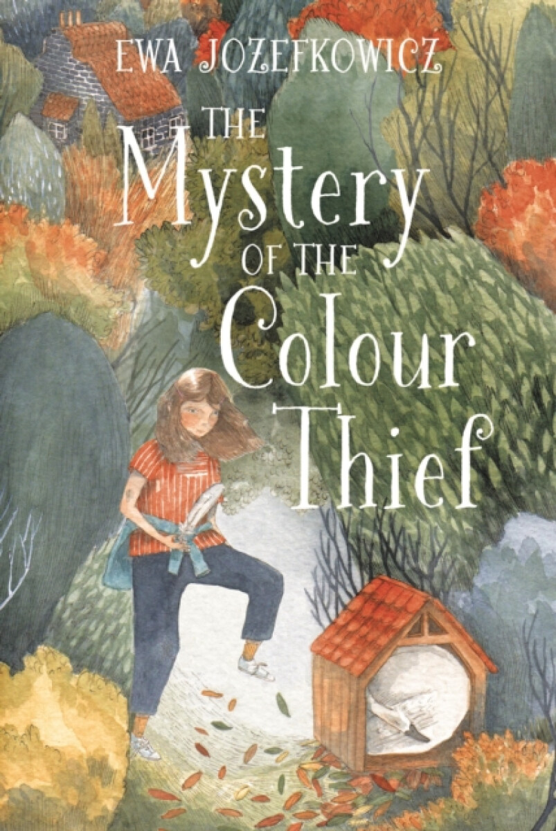 Kniha Mystery of the Colour Thief
