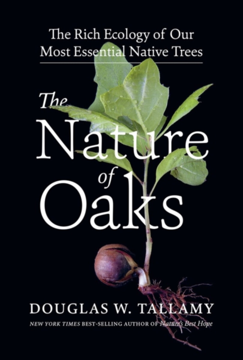 Kniha Nature of Oaks