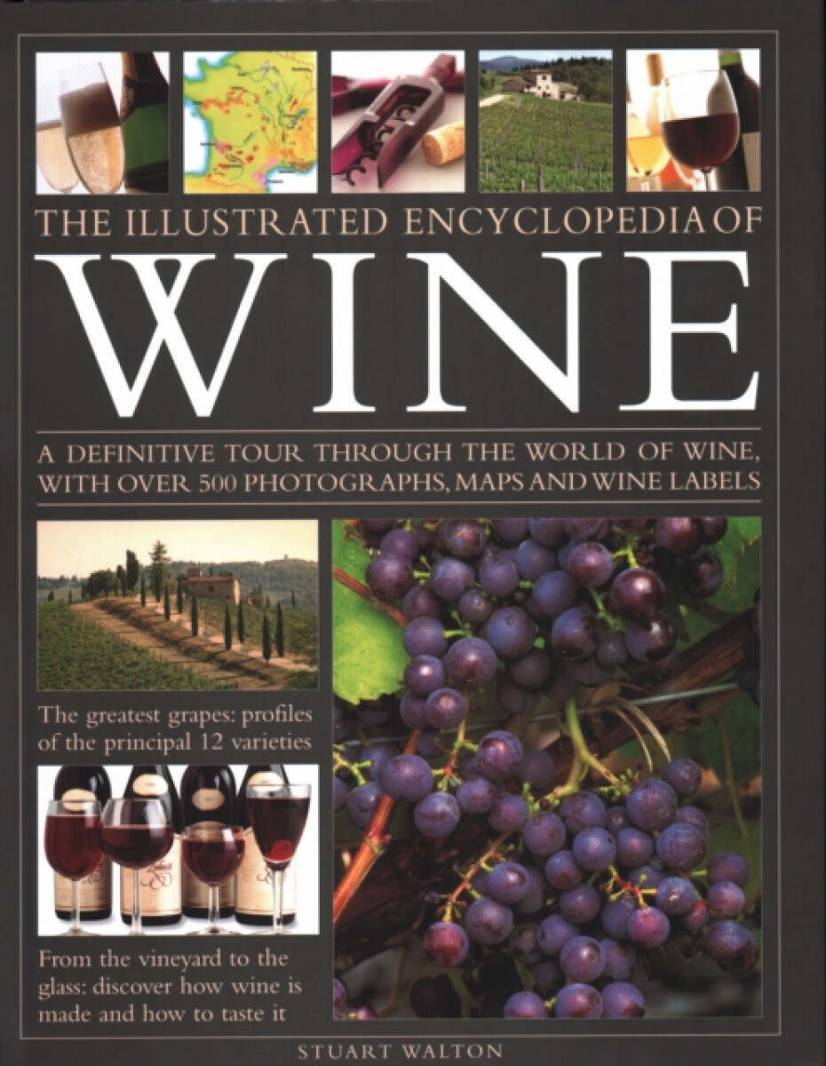 Kniha New Illustrated Guide to Wine