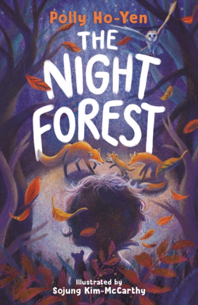 Kniha Night Forest