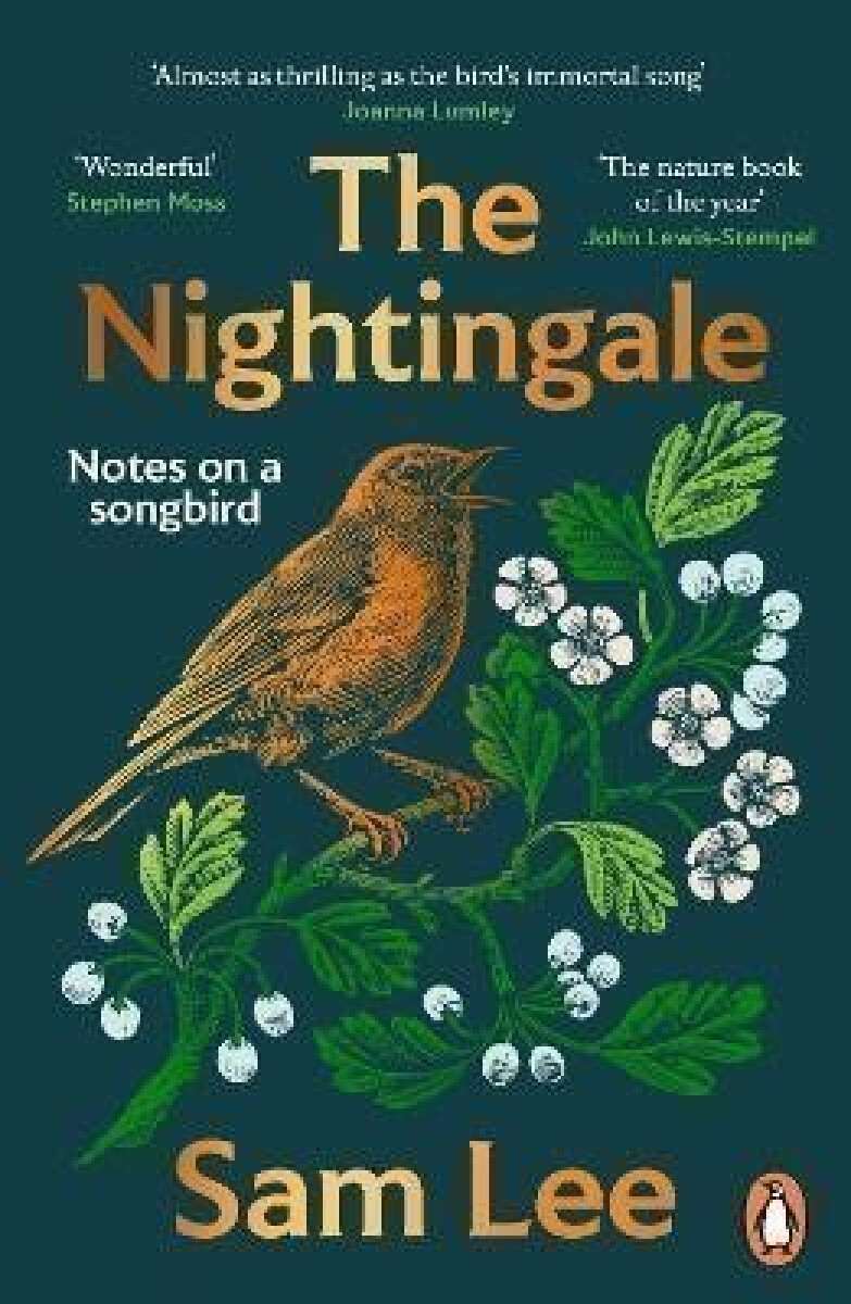 Kniha Nightingale
