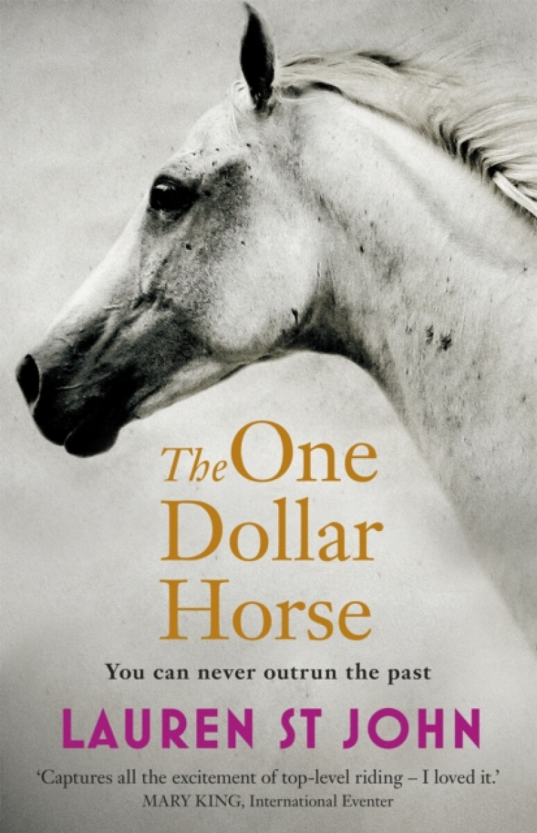 Kniha One Dollar Horse