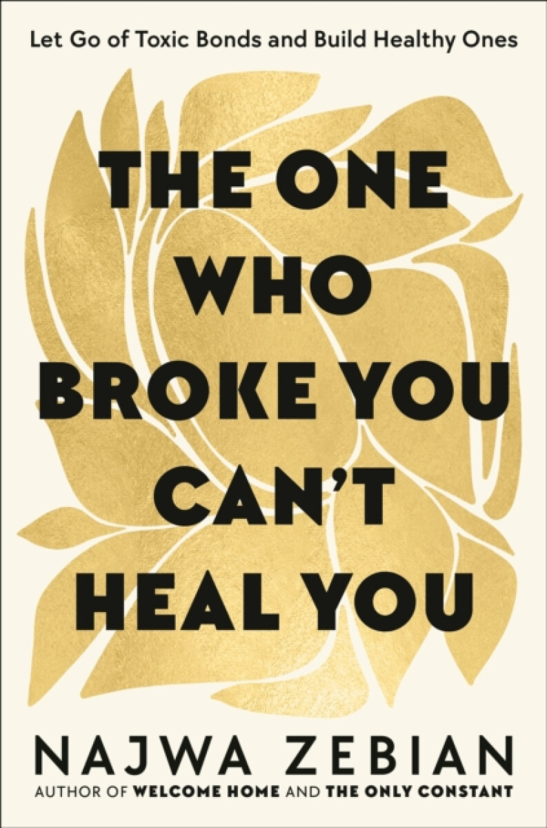 Kniha The One Who Broke You Can't Heal You