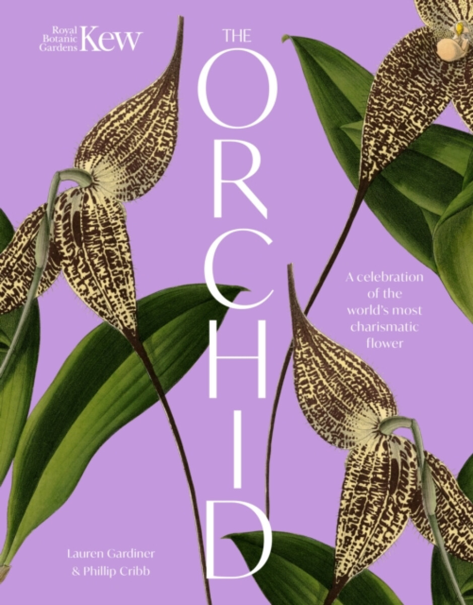 Kniha The Orchid