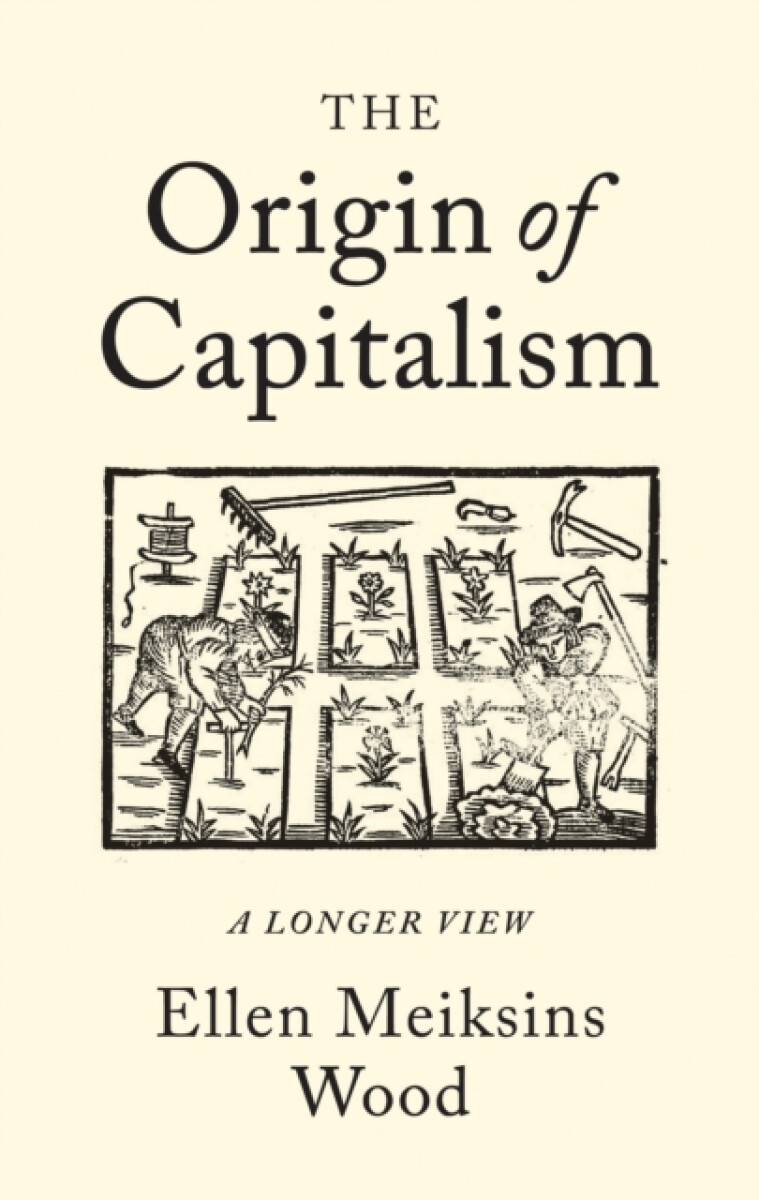 Kniha Origin of Capitalism