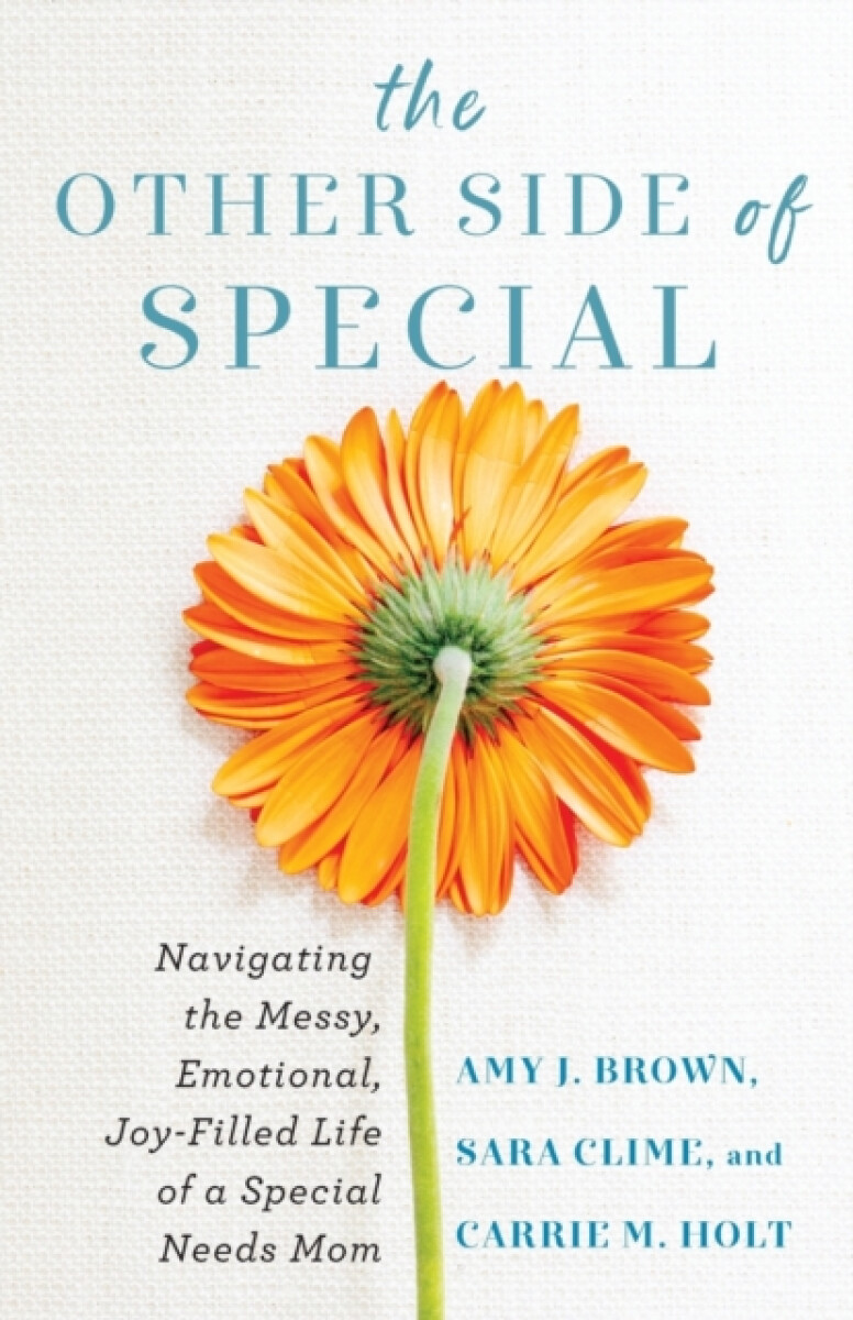 Kniha Other Side of Special – Navigating the Messy, Emotional, Joy–Filled Life of a Special Needs Mom