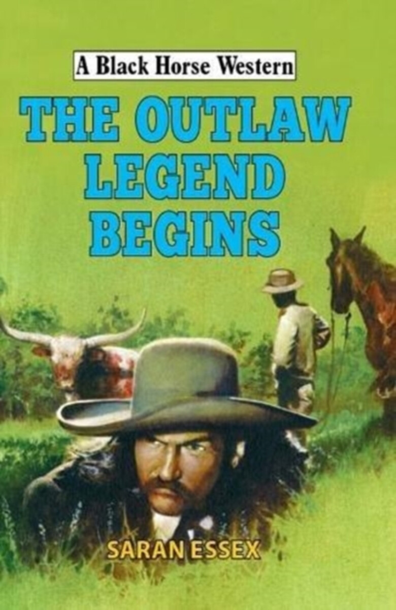 Kniha Outlaw Legend Begins