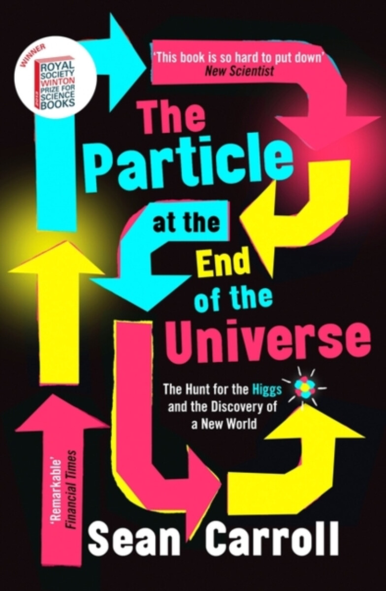 Kniha The Particle at the End of the Universe