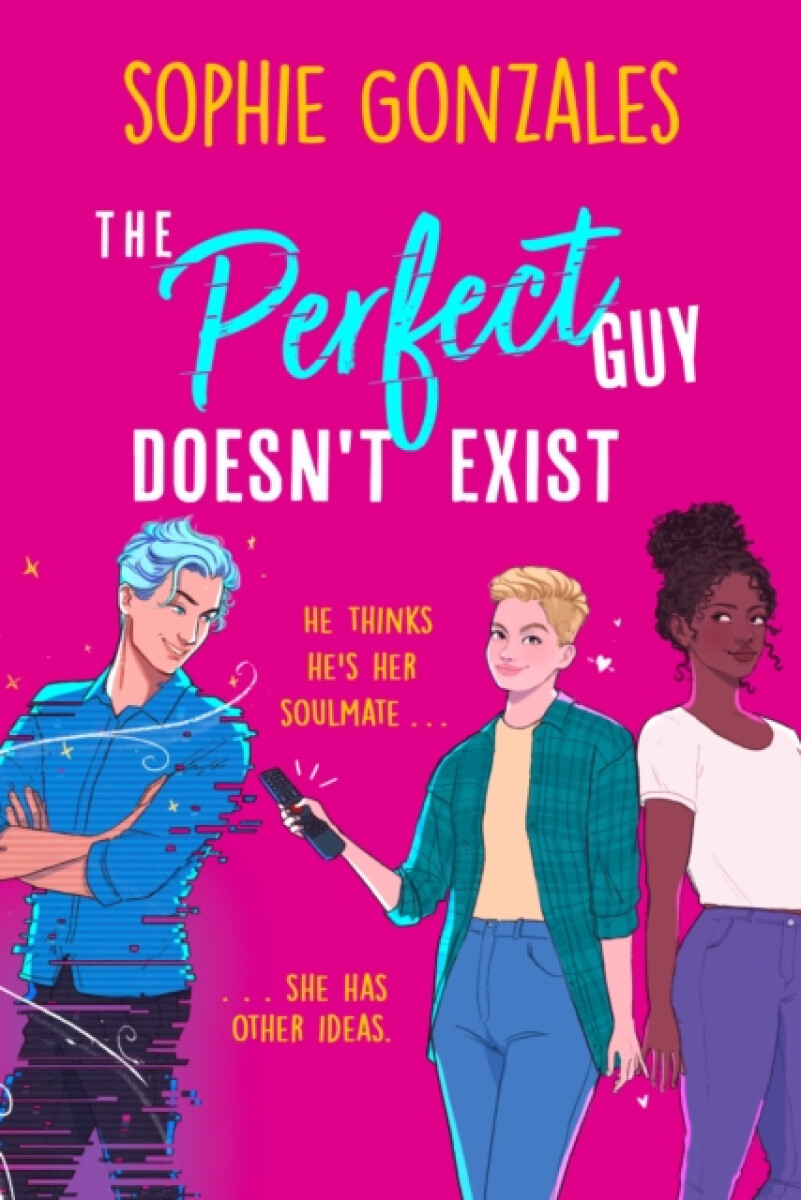 Kniha The Perfect Guy Doesn´t Exist