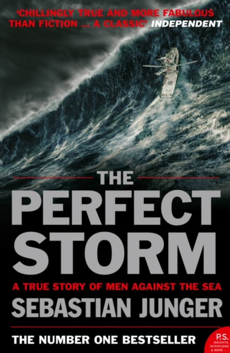 Kniha The Perfect Storm