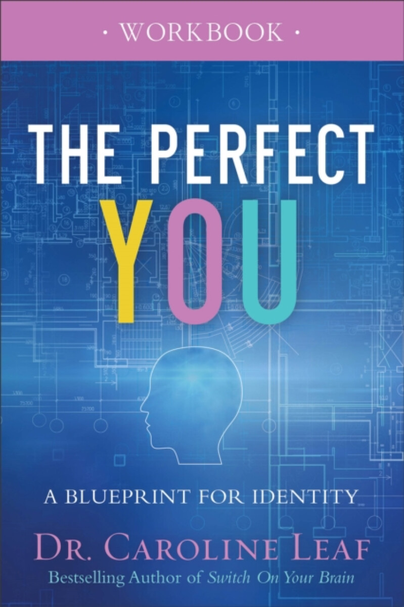 Kniha Perfect You Workbook – A Blueprint for Identity