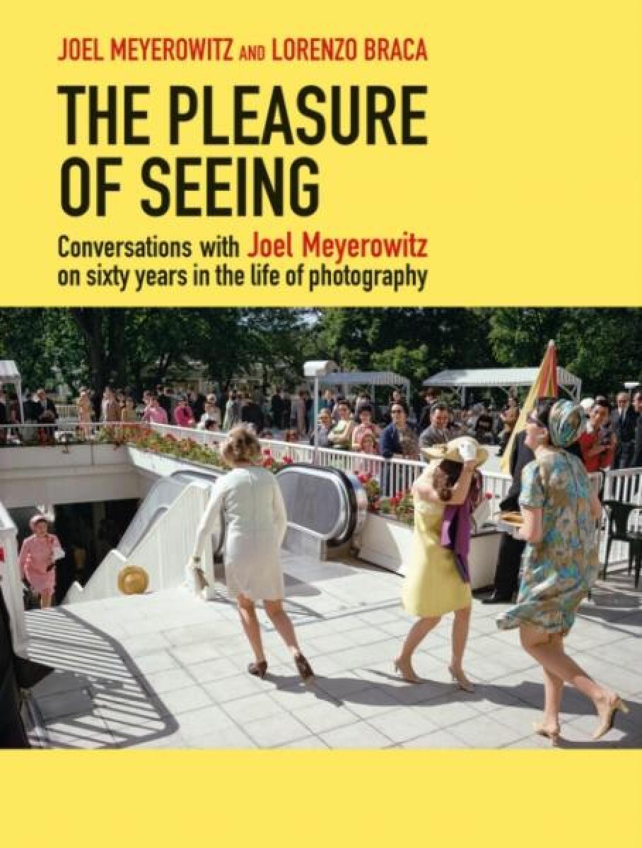 Kniha The Pleasure of Seeing
