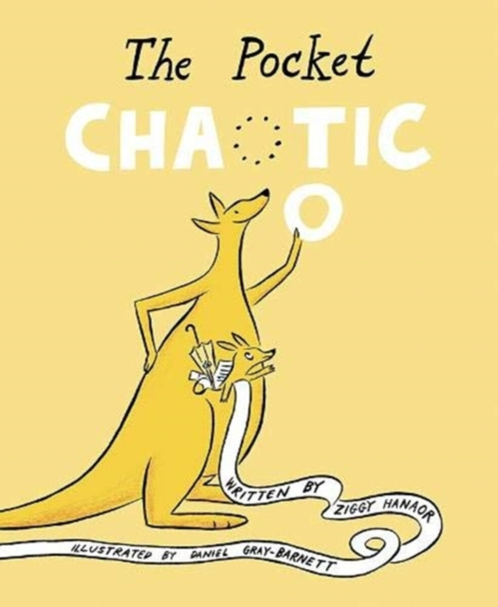 Kniha The Pocket Chaotic