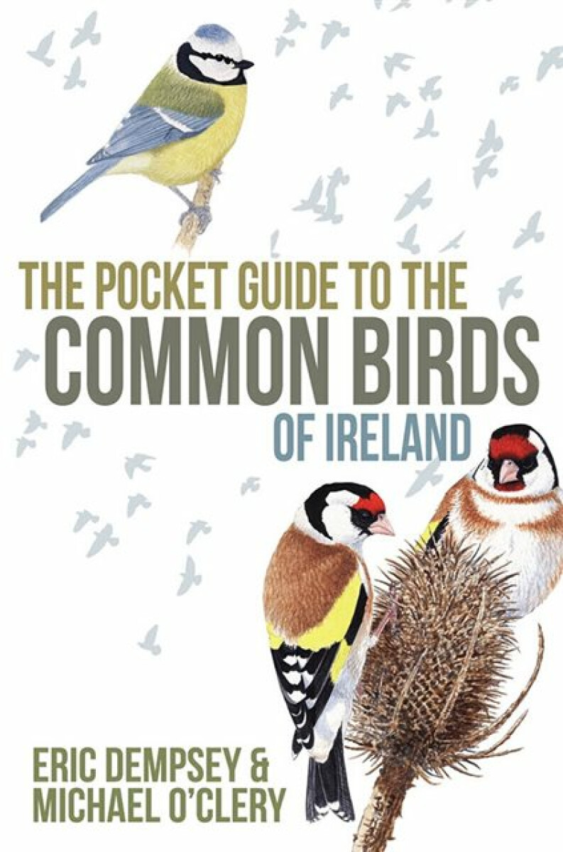 Kniha Pocket Guide to the Common Birds of Ireland