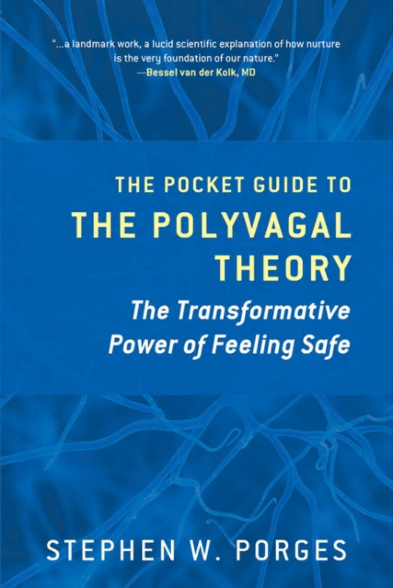 Kniha Pocket Guide to the Polyvagal Theory