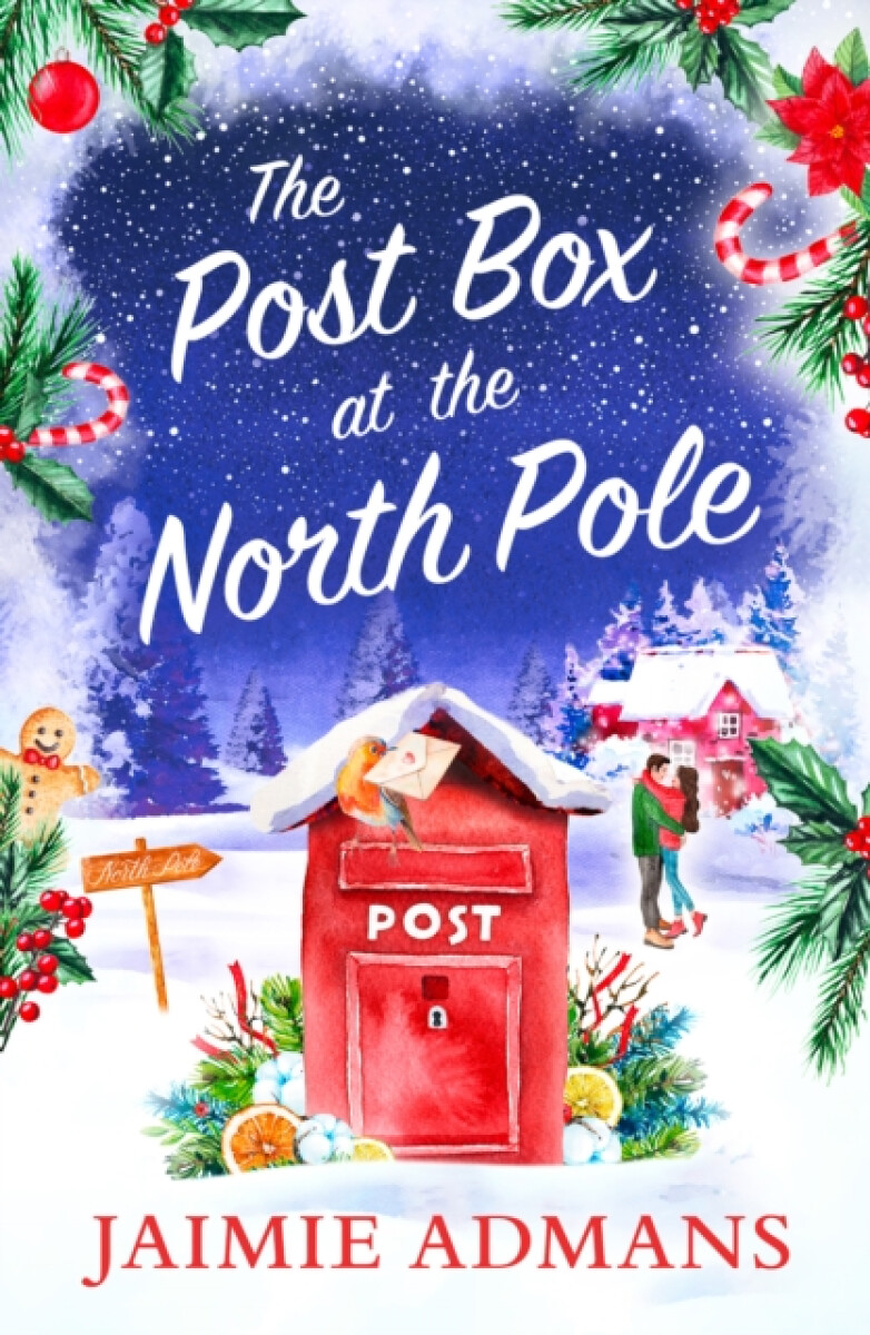 Kniha Post Box at the North Pole
