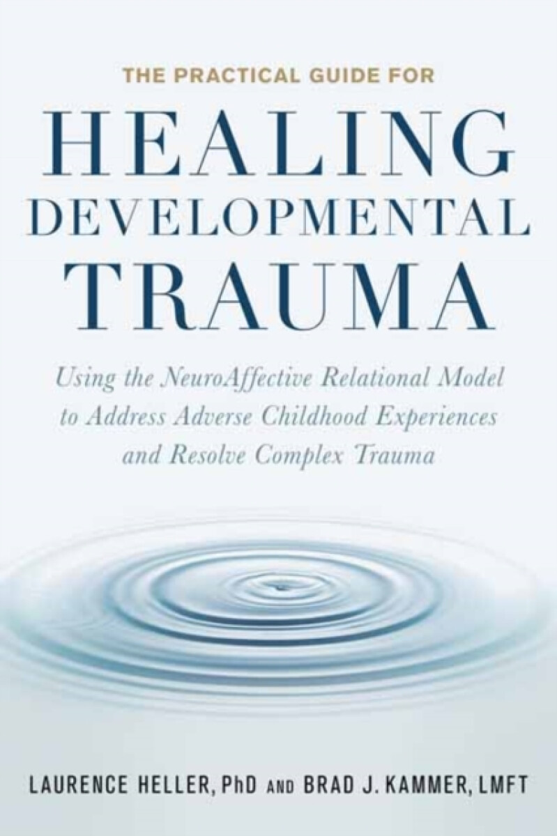 Kniha Practical Guide for Healing Developmental Trauma