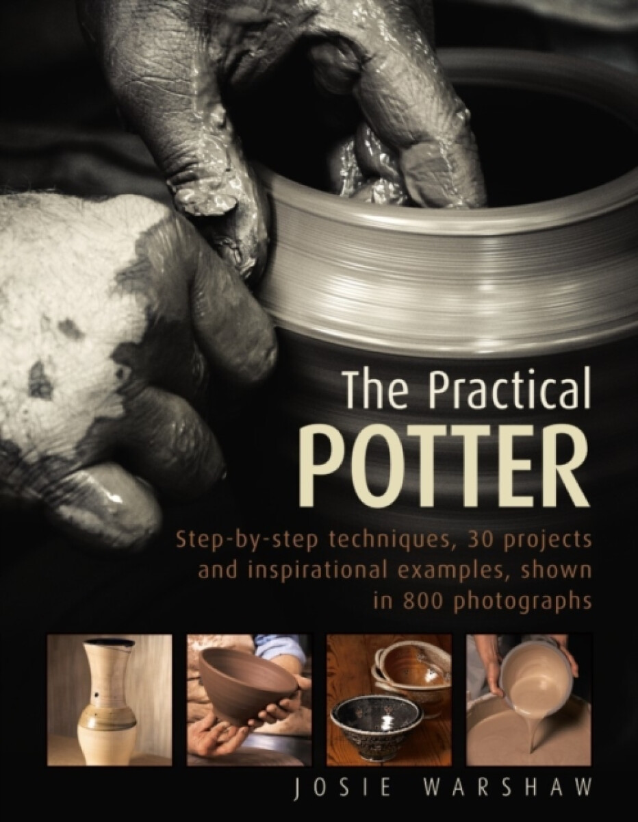 Kniha Practical Potter