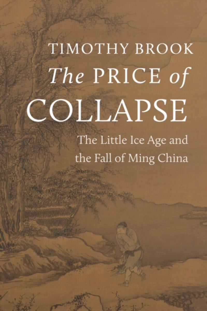 Kniha The Price of Collapse
