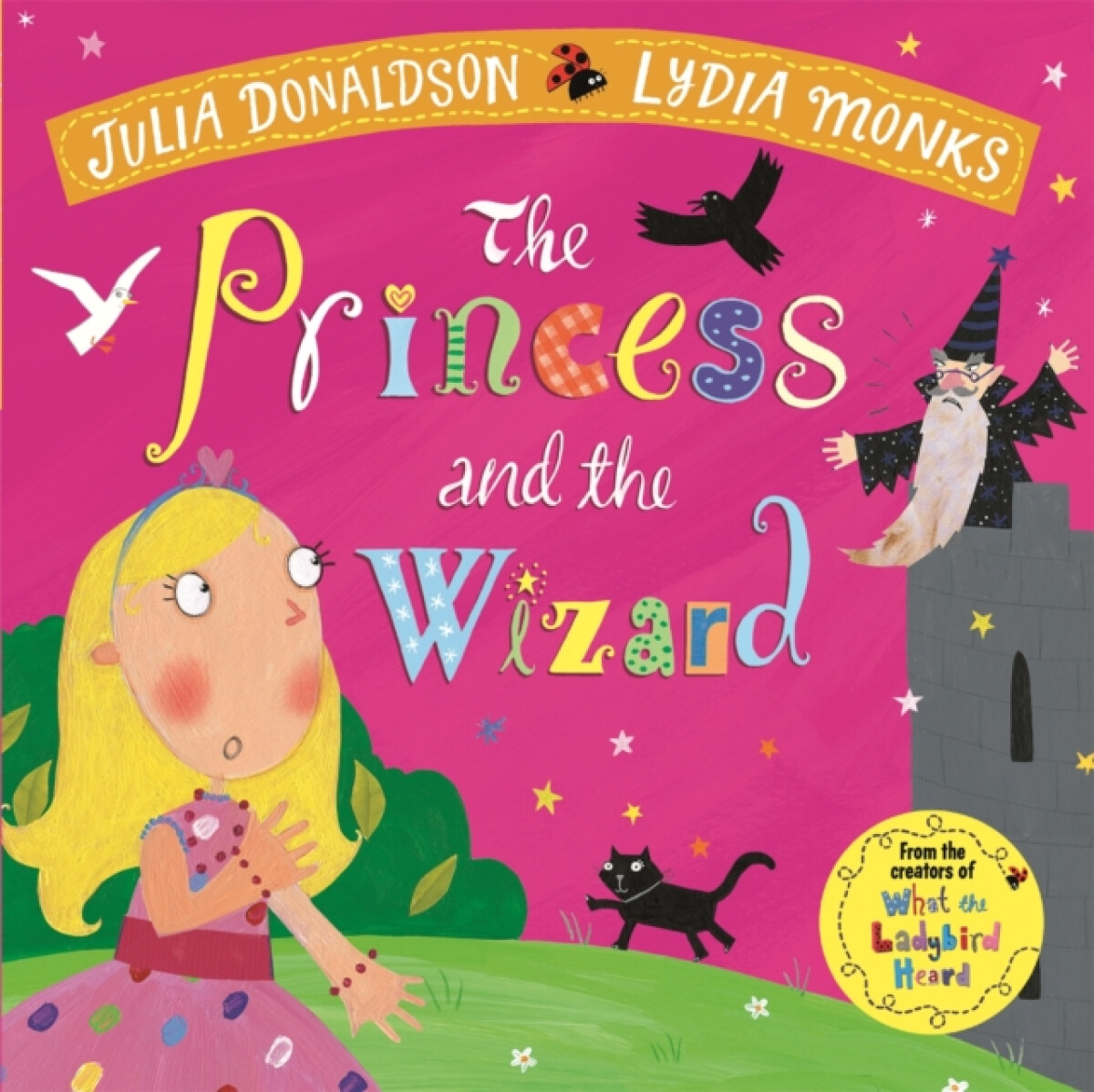 Kniha The Princess and the Wizard