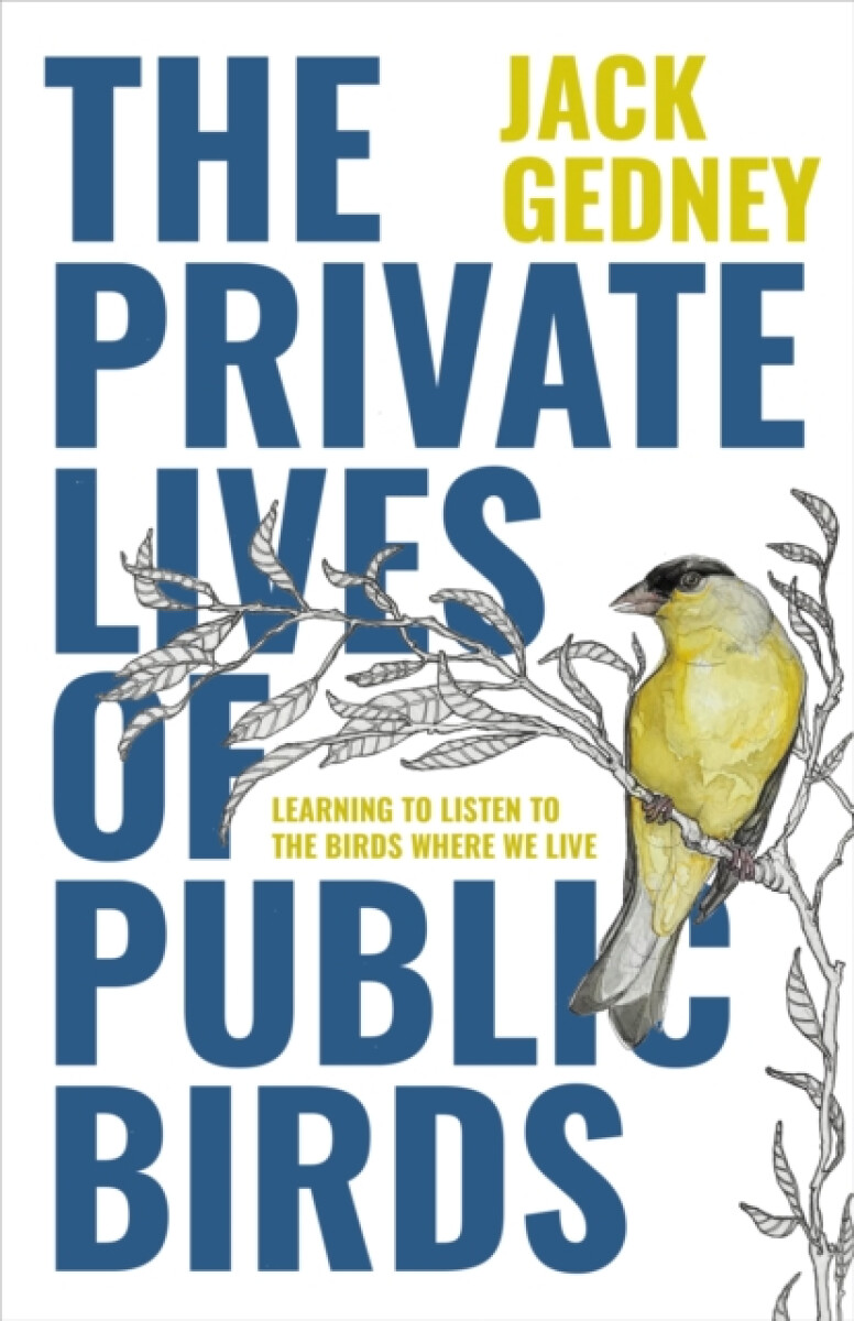 Kniha Private Lives of Public Birds