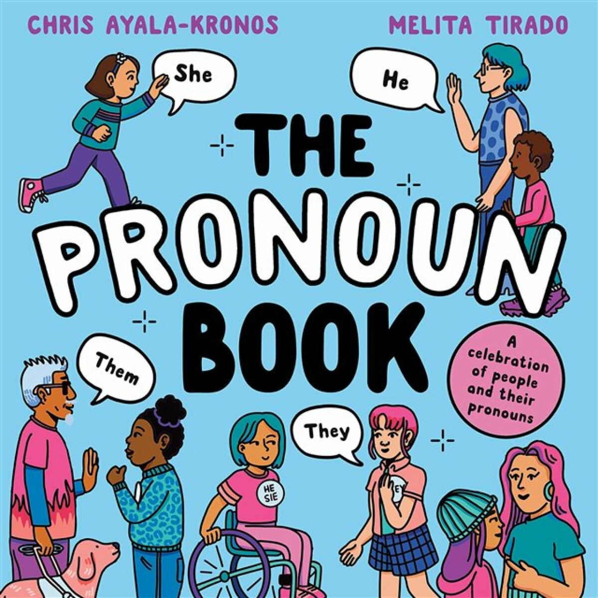 Kniha Pronoun Book