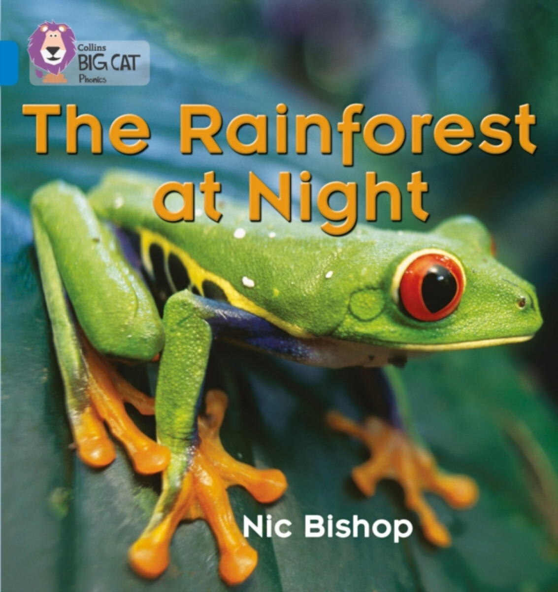 Kniha Rainforest at Night