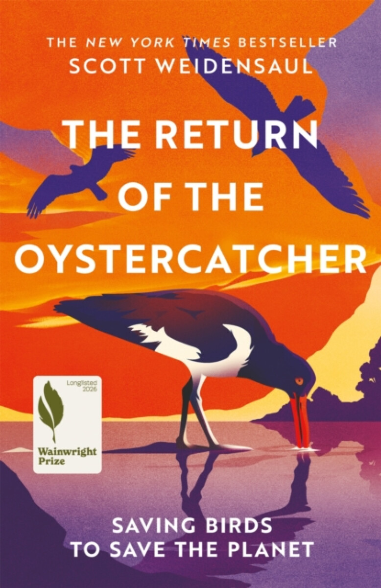 The Return of the Oystercatcher - Scott Weidensaul
